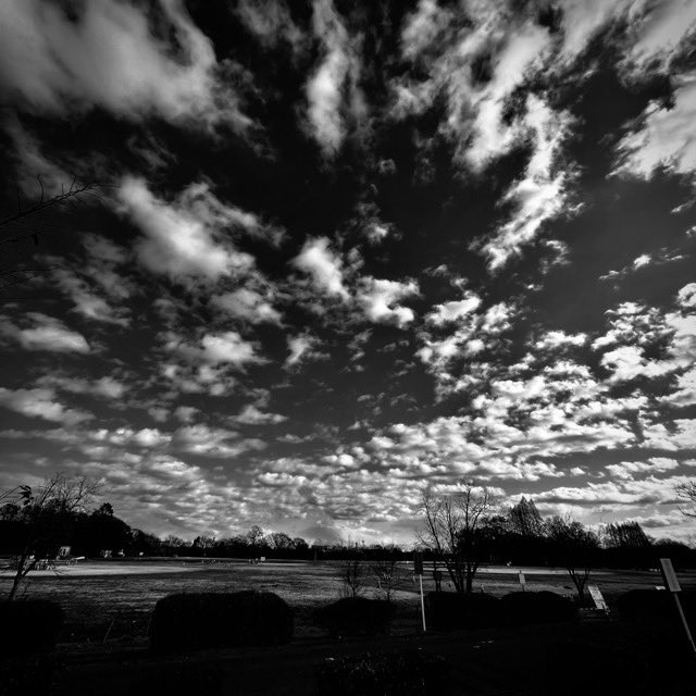 pw_synth's tweet image. おはようございます。月曜日。