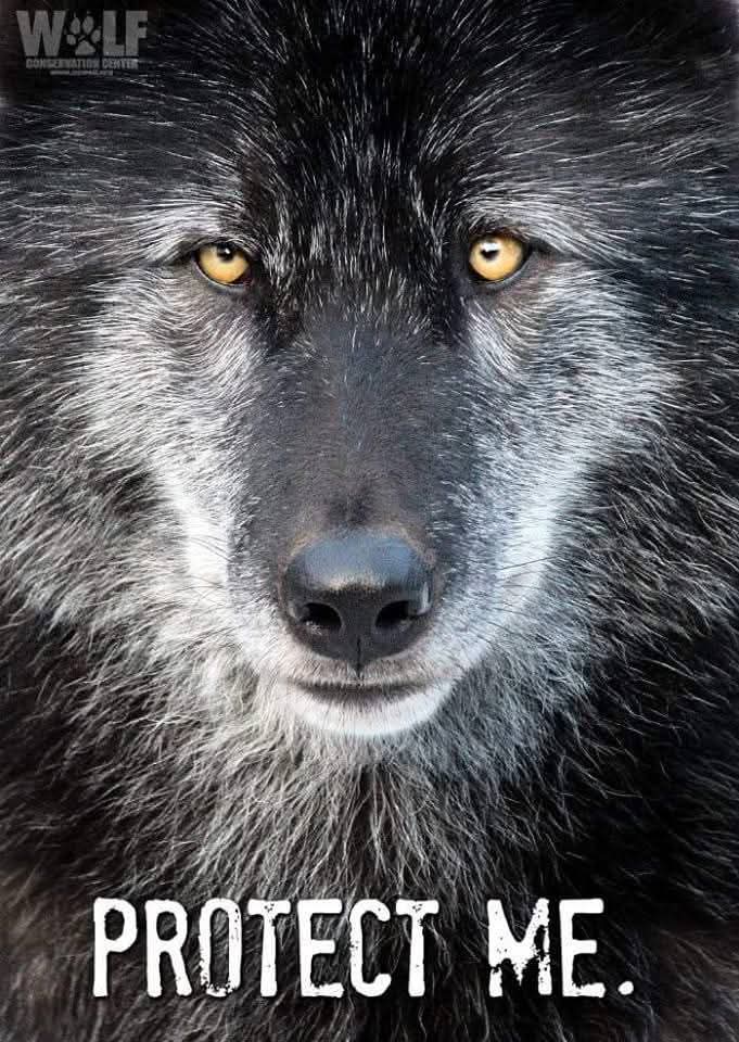 Urielsdj (@urielsdj75) on Twitter photo 