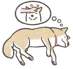 batmntits's tweet image. "omg this page is so nice!!!" -&amp;gt; waaaaa tank you.... i love making them,,,
 batmntits.straw.page