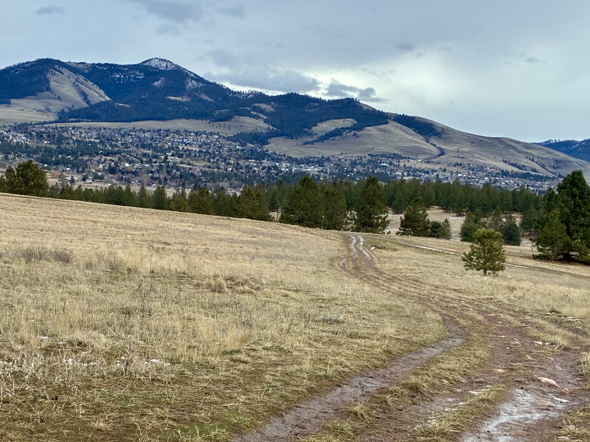 sallymauk's tweet image. January in Montana. Weird.
#nosnow