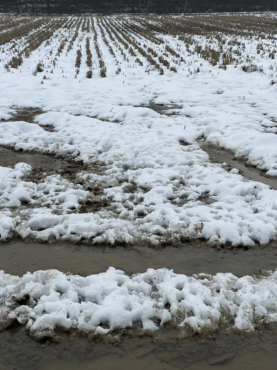 来てる来てる！
網猟