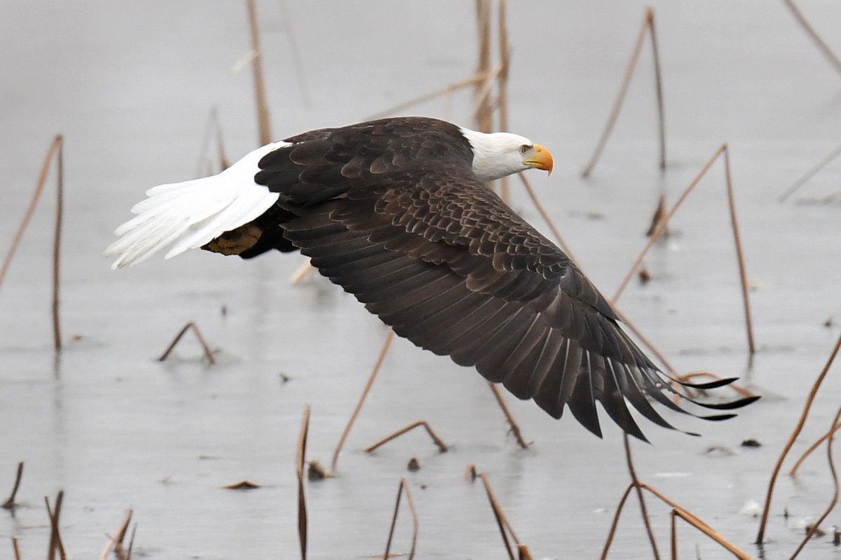 Len Lehmann tweet media