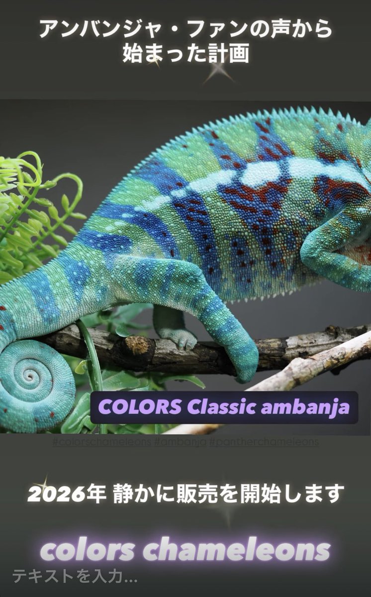 lonchan (@lonchankun) / Posts / X