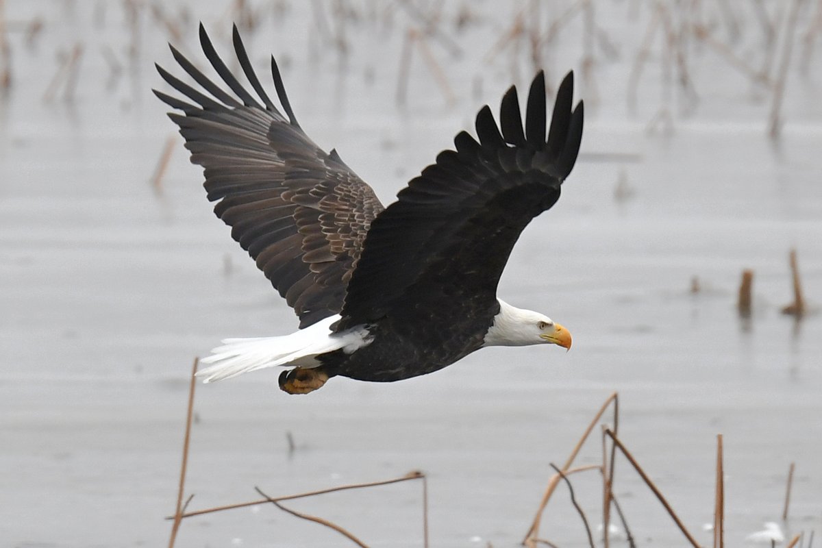 Len Lehmann tweet media