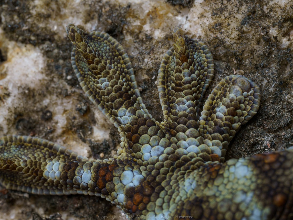 おはようございます。匂わせです。ええ