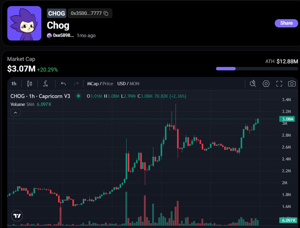 The Chog Strategy © tweet media