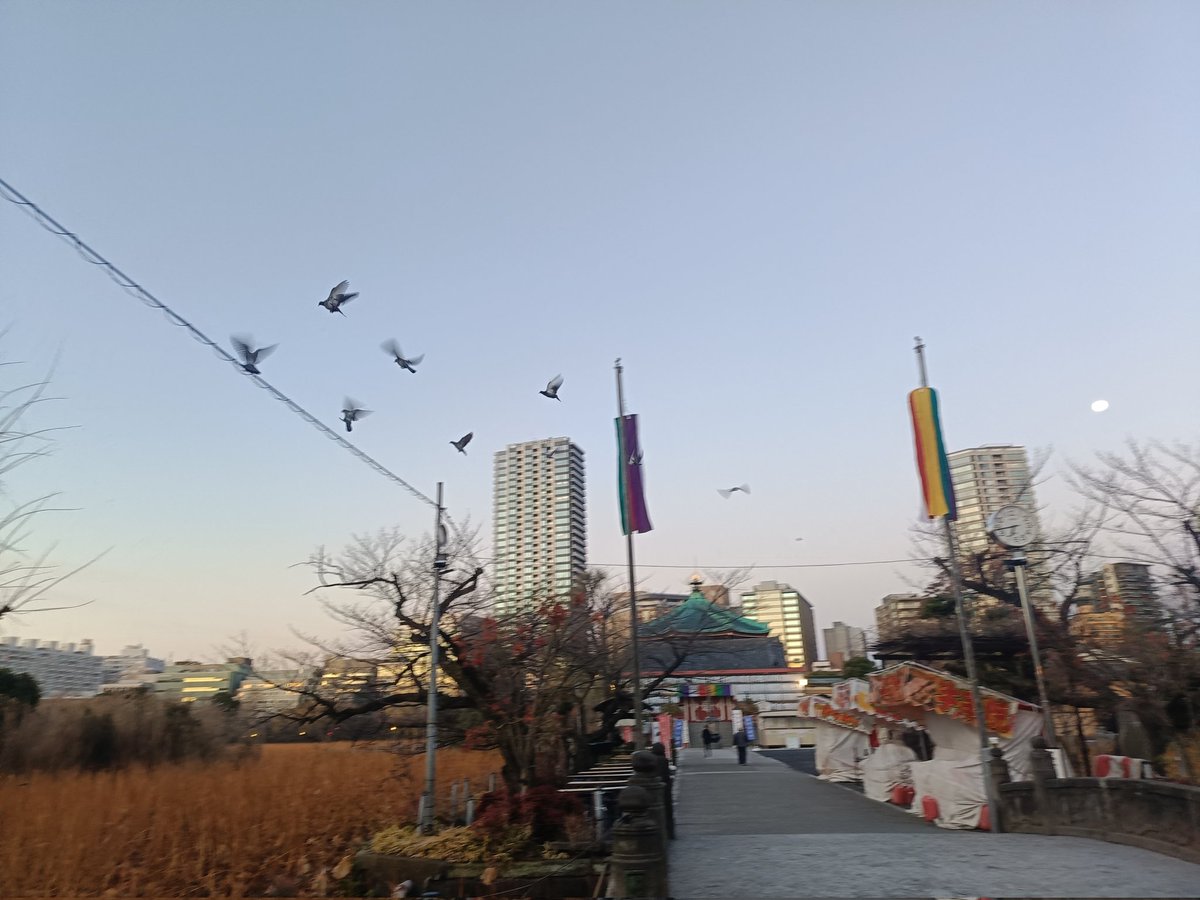 Danangjoyoo's tweet photo. penguin day 1 https://t.co/UtHZToDW9a
