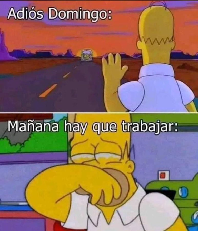 ALEJANDRO tweet media