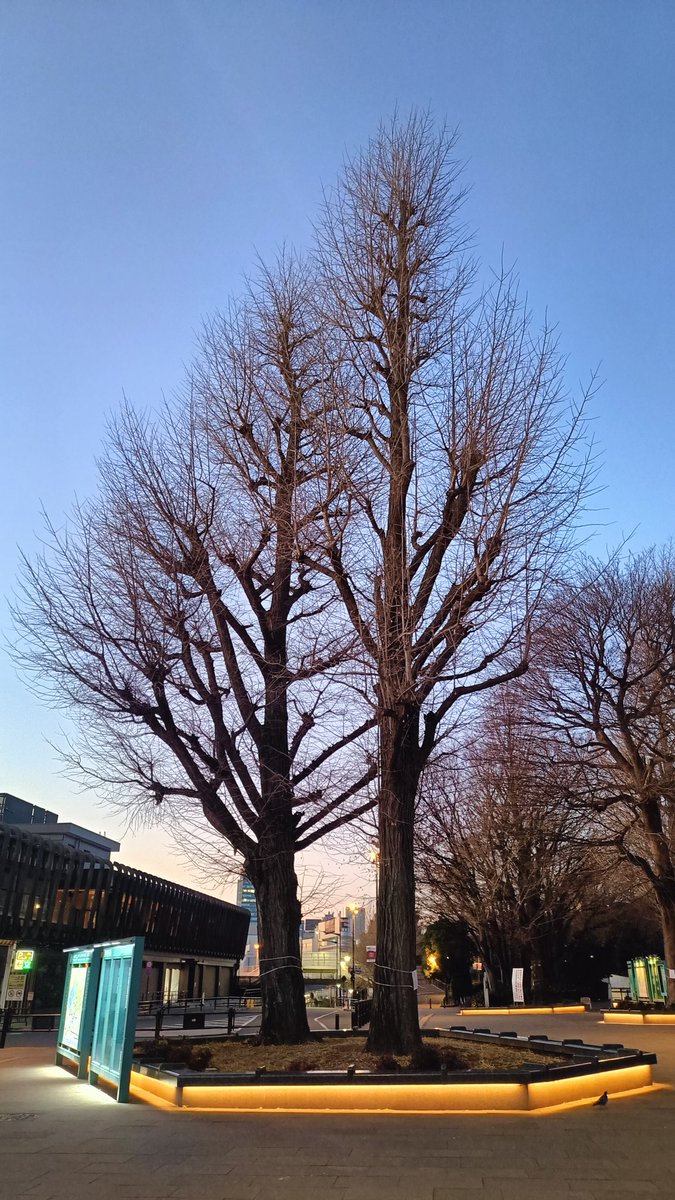 Danangjoyoo's tweet photo. https://t.co/86KYT24T8y