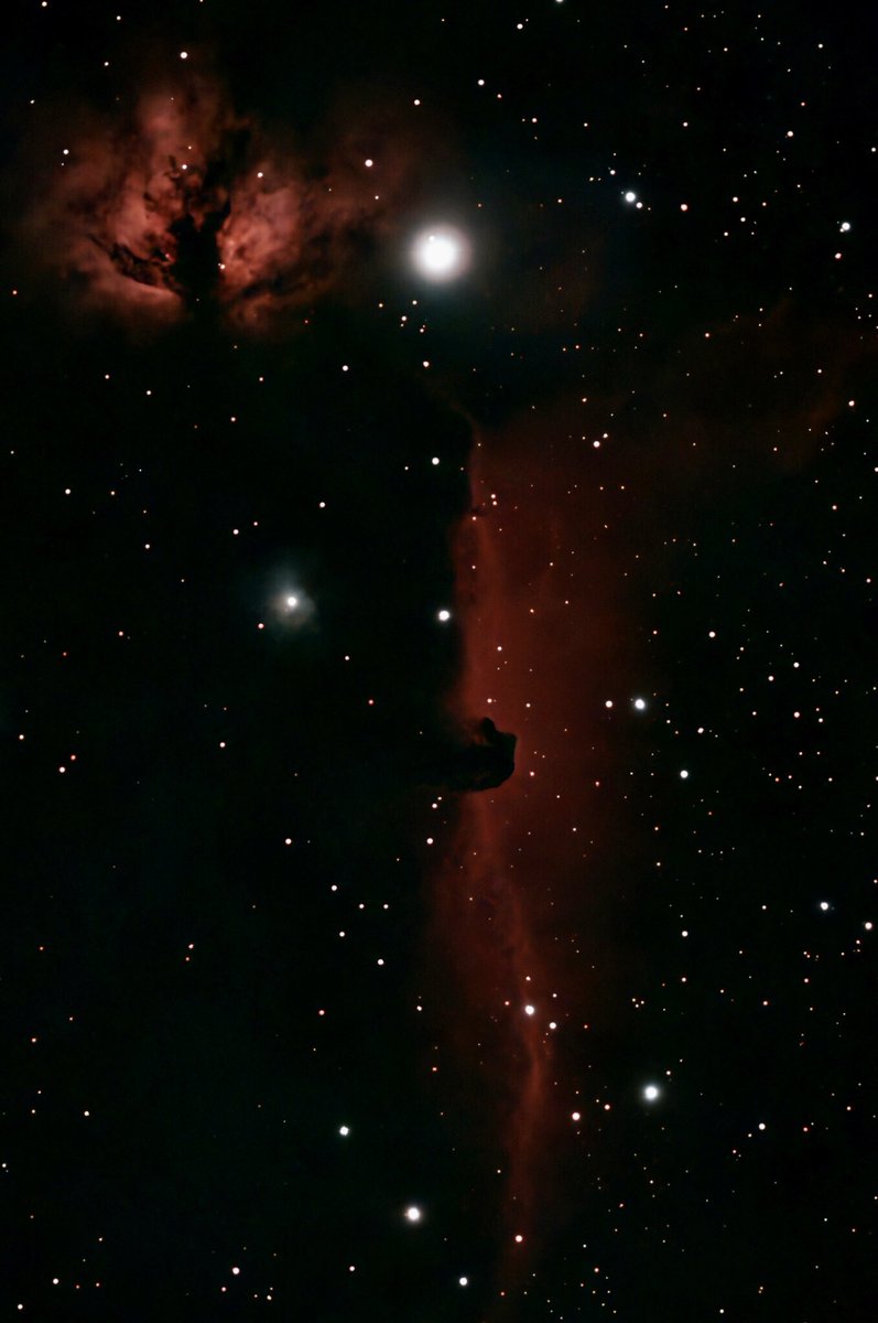 Nebulosa testa di cavallo. 1375 anni luce dalla terra. Foto mia.