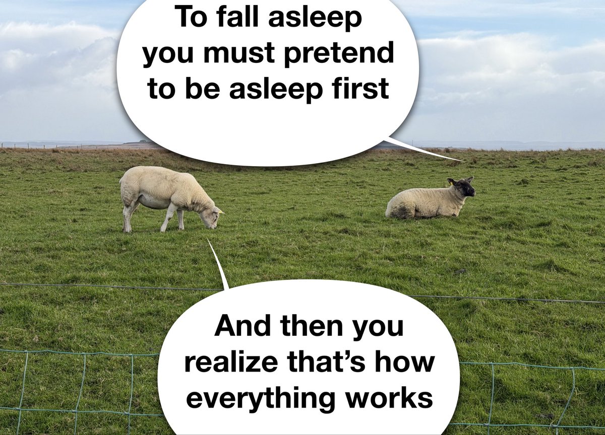 hackz's tweet image. 