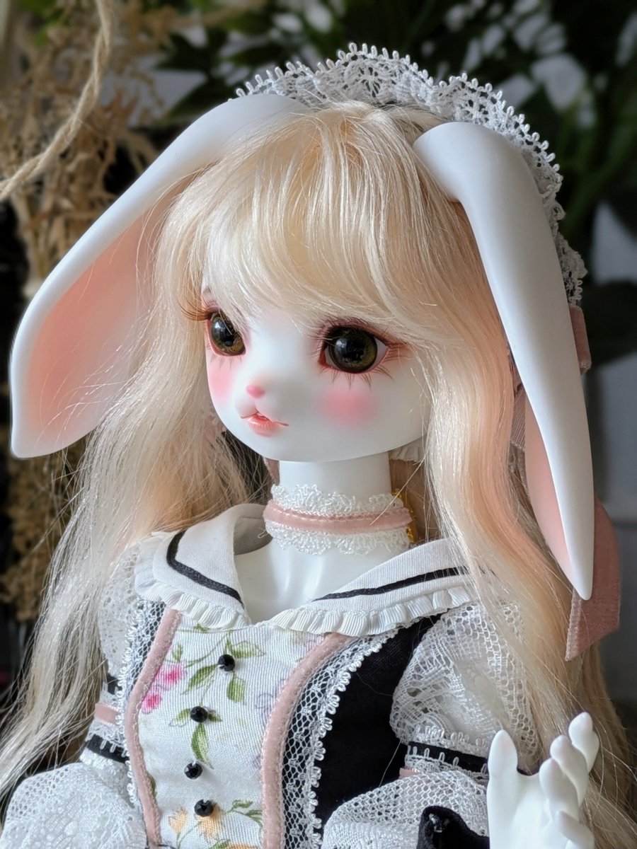 おはようございます。今日から3月まで怒涛の繁忙期だね。休みは存分に休んだよ。
頑張ろうね〜サラちゃん！！！