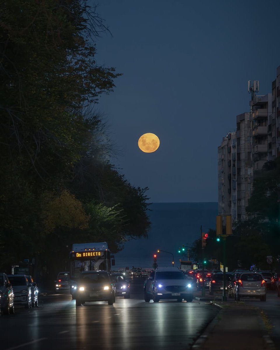 🌕🌃
📍Bulevar España, Montevideo.