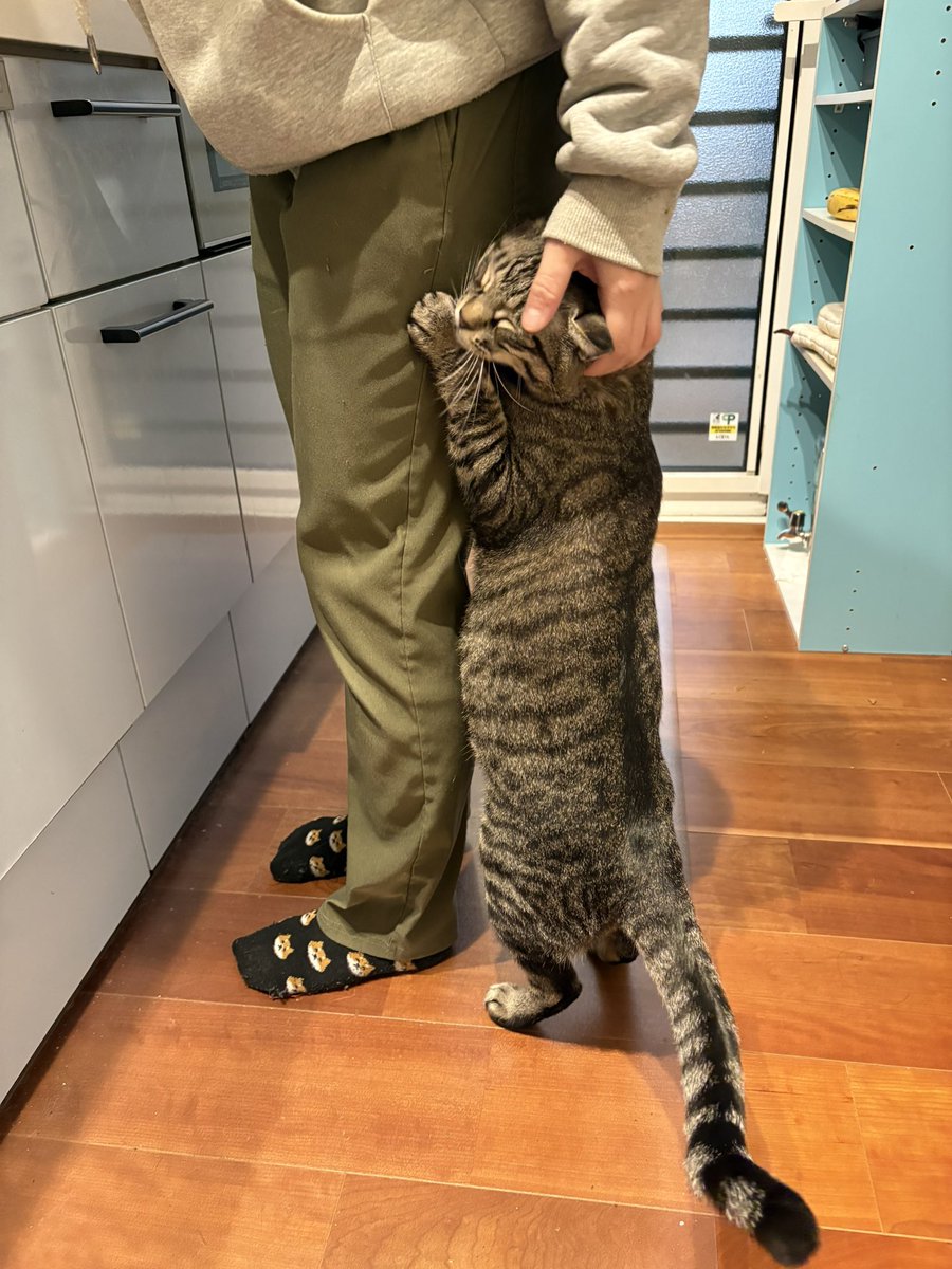 ぬ太郎 (@nutaronutaro) / Posts / X