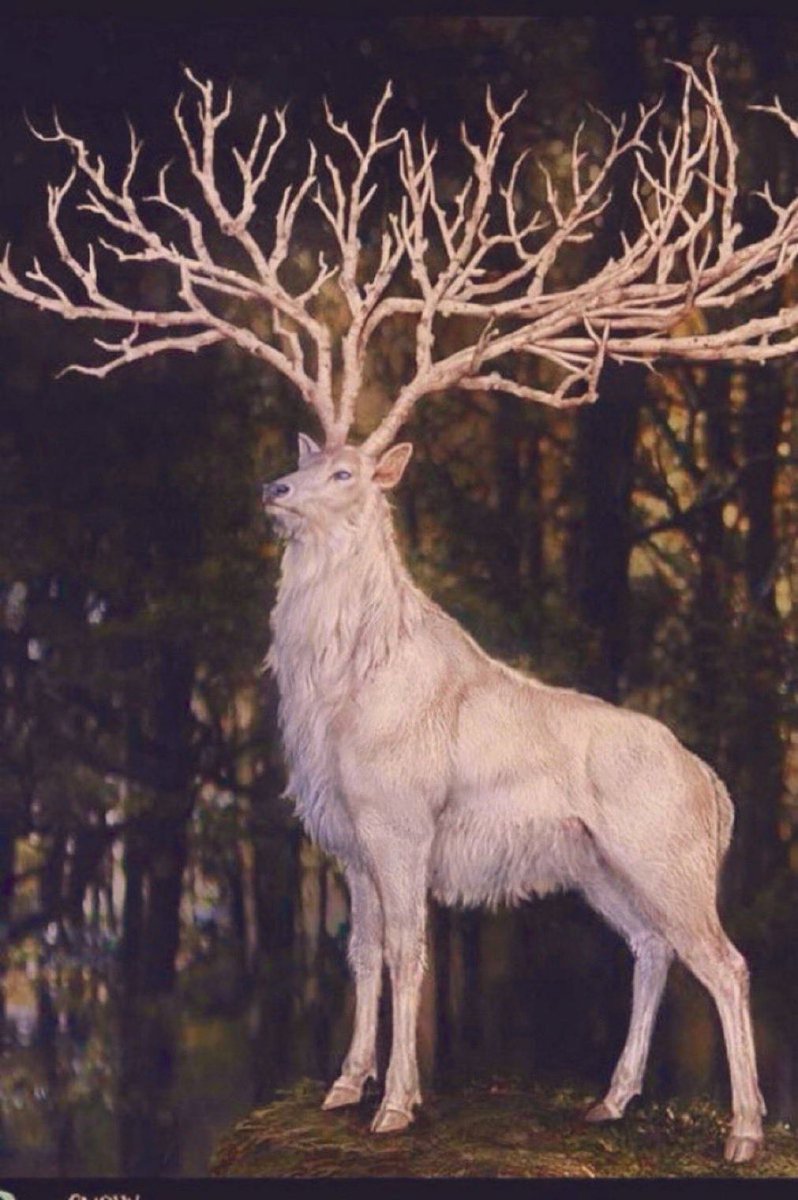 Kerria's tweet image. In Celtic mythology, a white stag is a herald of profound change. In Arthurian legends he symbolizes the eternal quest for spiritual knowledge. In Narnia, the stag grants wishes to those that catch him.

art by Sebastian Meyer