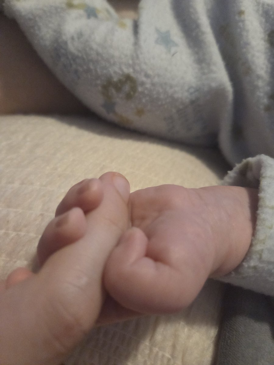 🌈 Mega 🌈🐸 tweet media