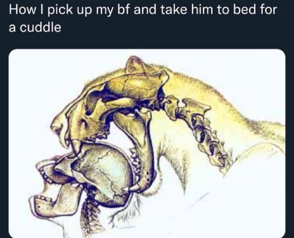 4nbsko's tweet image. 