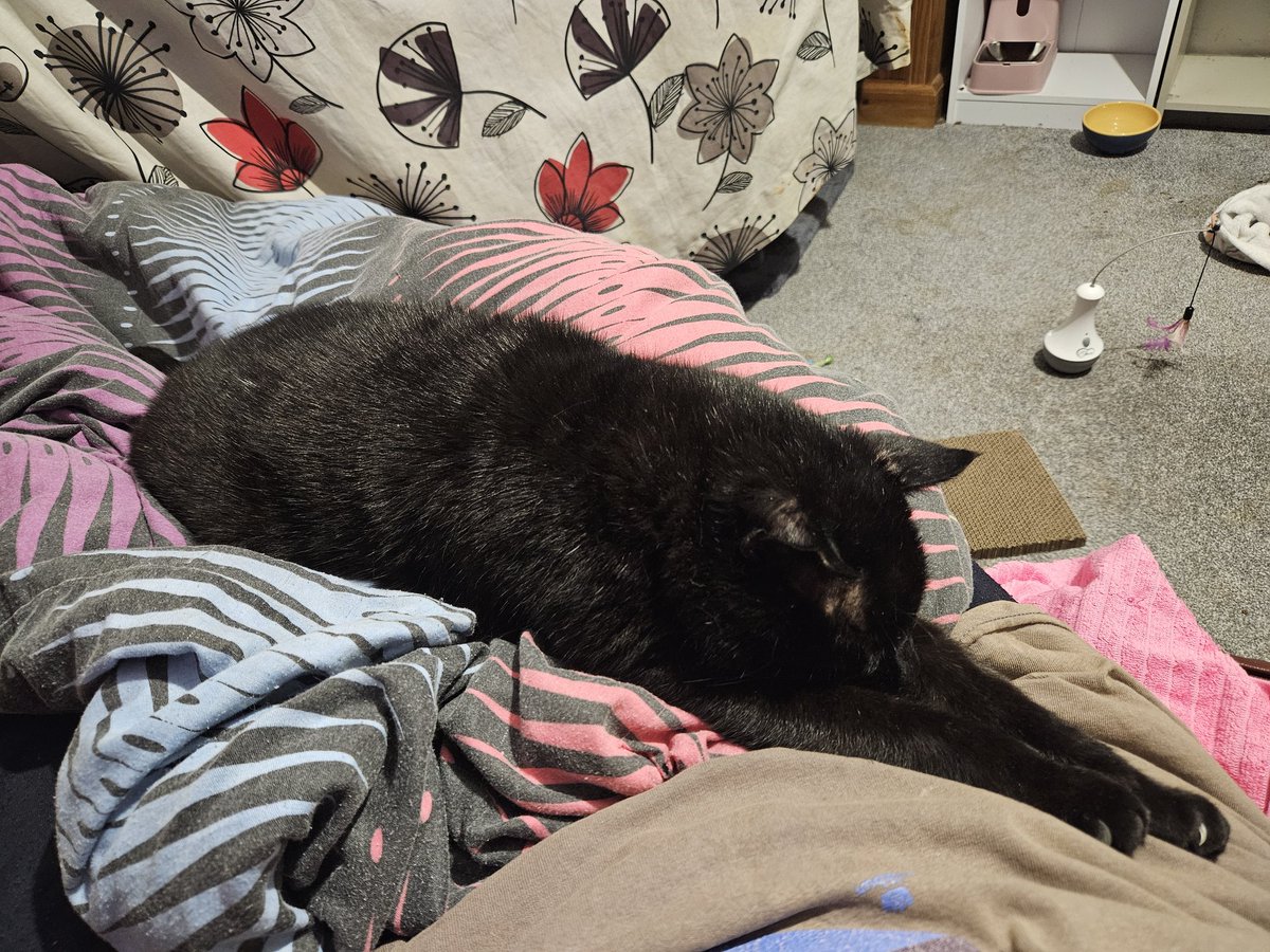 Angel Annie. tweet media