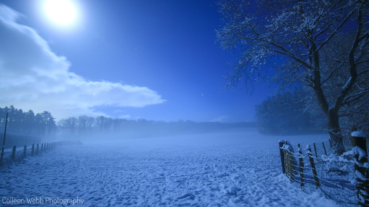 Colleen Webb tweet media