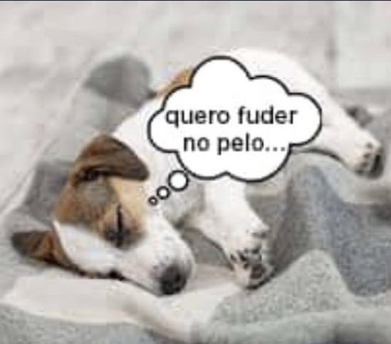 eduardoccarrara's tweet image. 😔😔