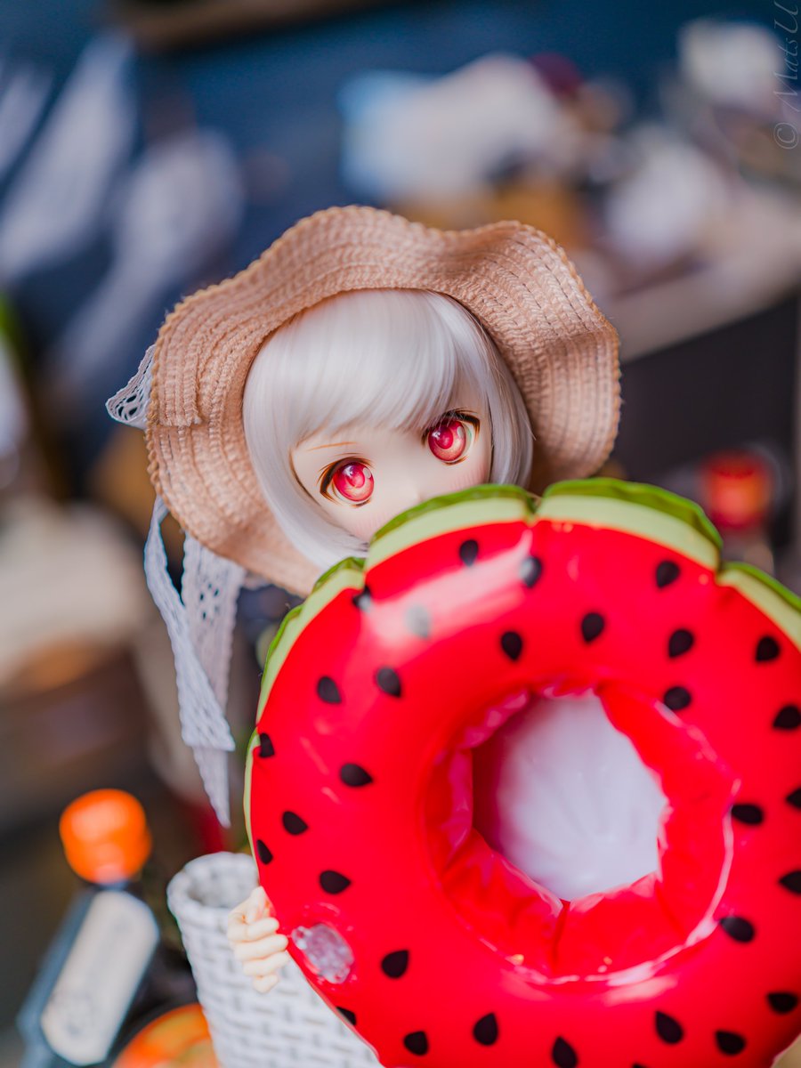 #DDPはいいぞ
#Element_L 
#うちのこかわいい