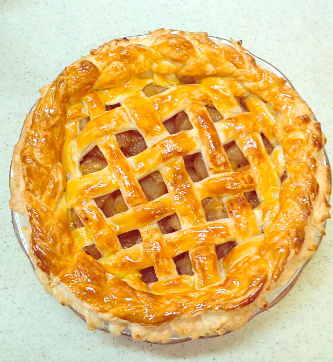 かめきち (@E9Ep7HchhwchZot) / Posts / X