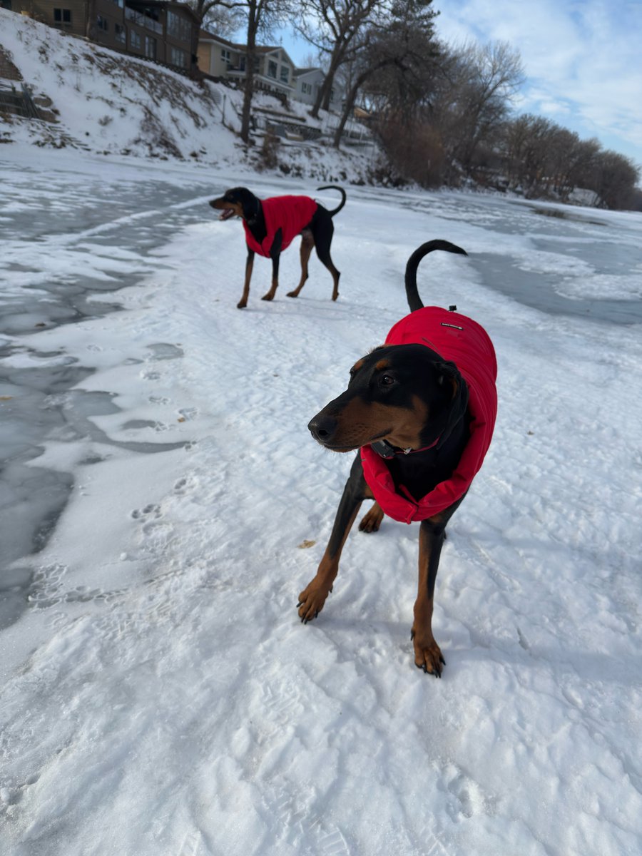 statFutures's tweet image. #Root and Mr. T on the ice.