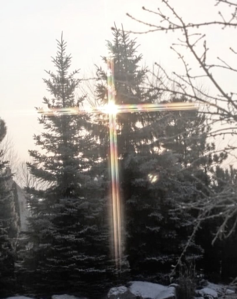 DEGENETICS (@epykur_degen) on Twitter photo 