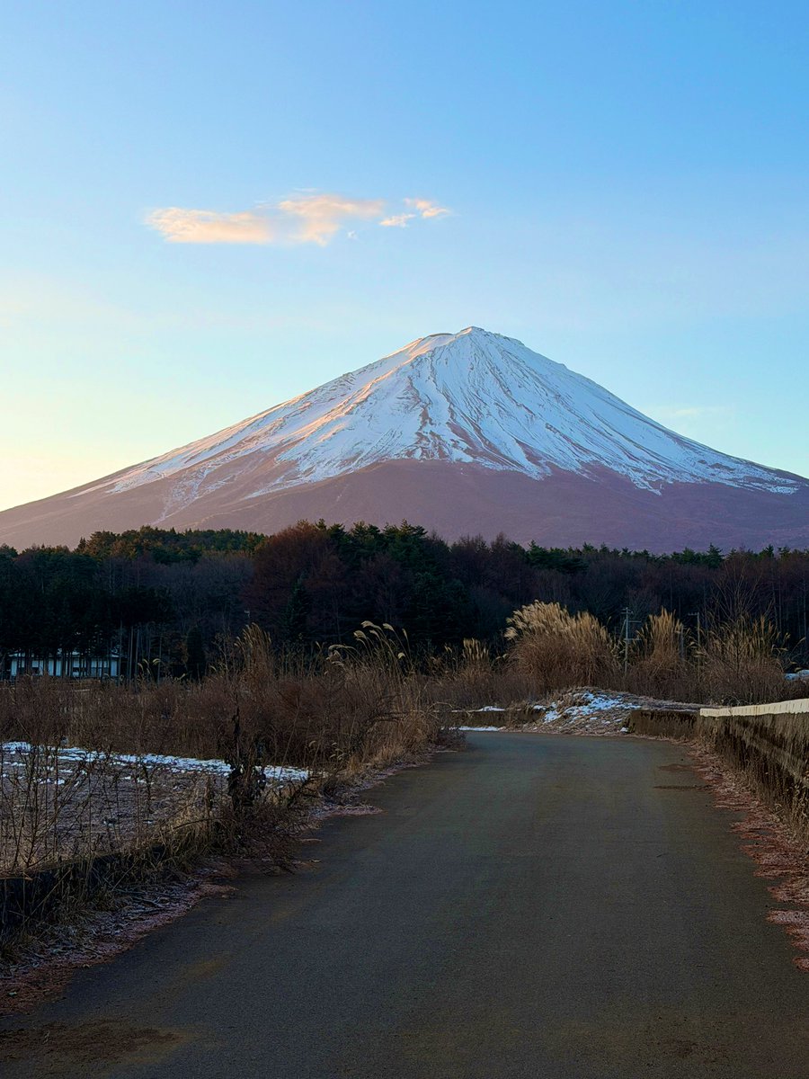 lemon🌈 🀇🀏🀐🀘🀙🀡🀆🀅🀄🀀🀁🀂🀃🀃 (@melon0000) / Posts / X