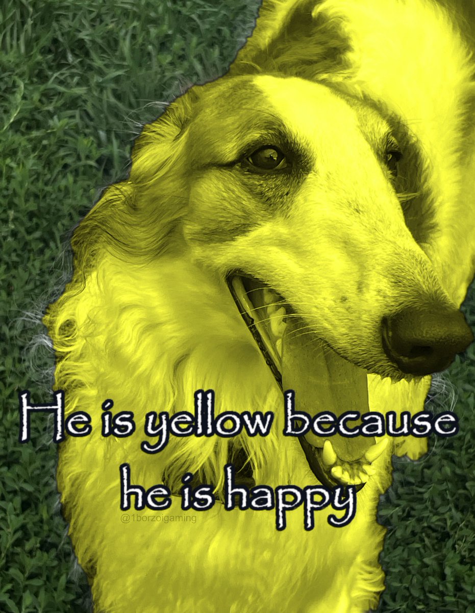 1borzoigaming's tweet image. #borzoi #borzoitwt