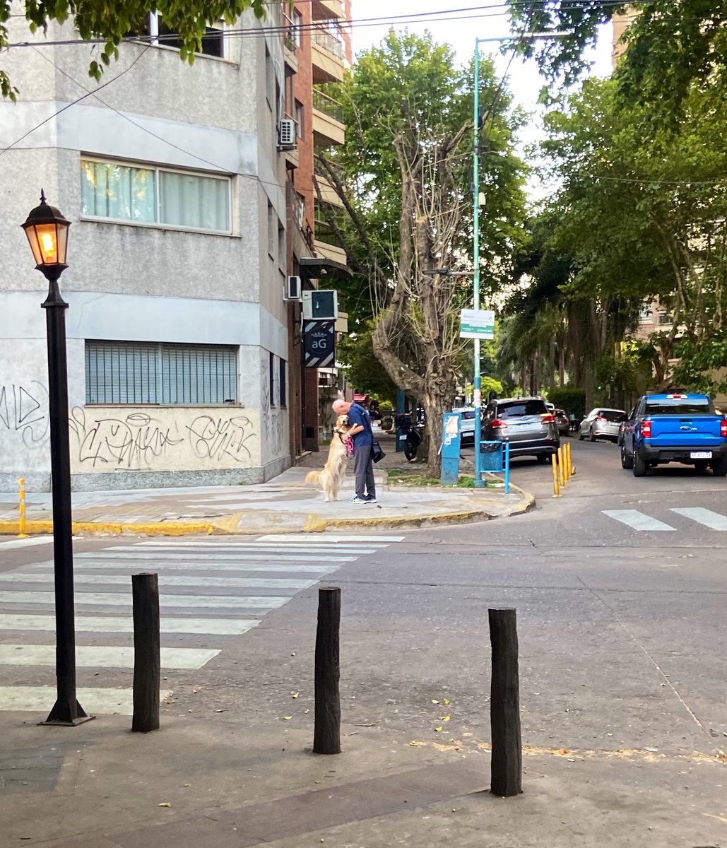 Lo más tierno que vas a ver hoy