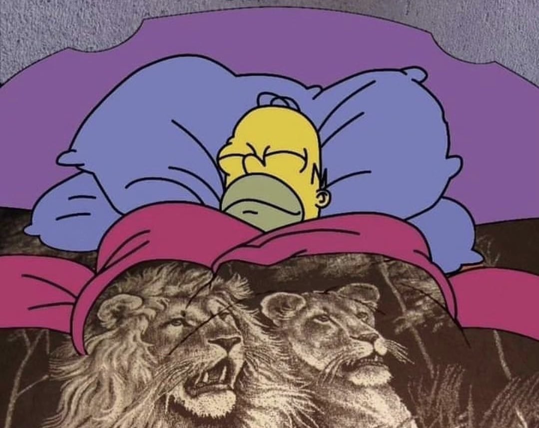 pilotomemeslat's tweet photo. Yéndome a dormir bien agusto porque mi equipo no pasó a Playoffs y ya es un estrés menos https://t.co/d4mmaMzoGy