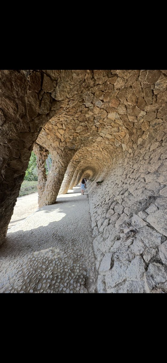 Meningioma Host tweet media