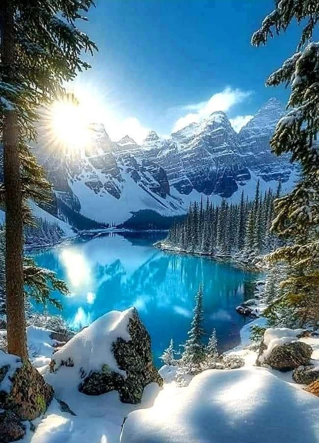 Nikol🌹💕🌹 tweet media