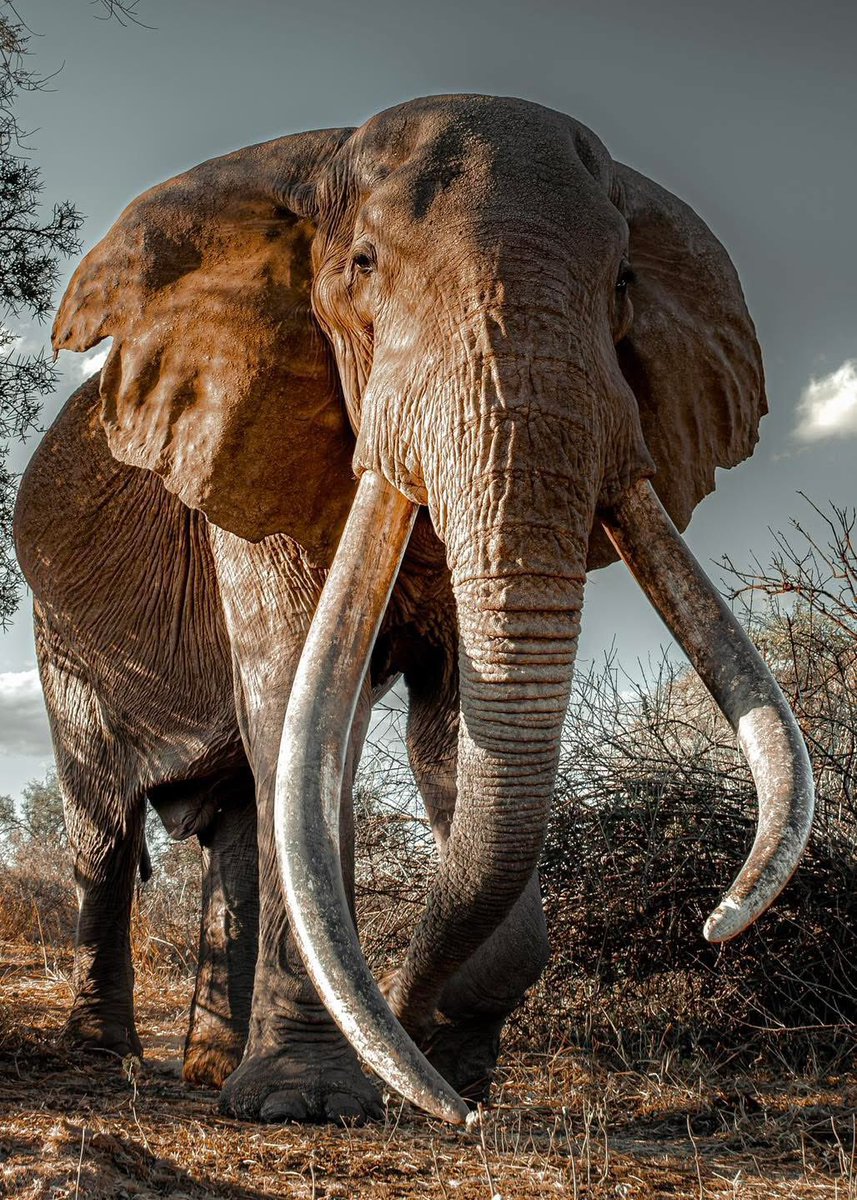 Am_Blujay's tweet image. R.I.P  Craig. 1972-2026