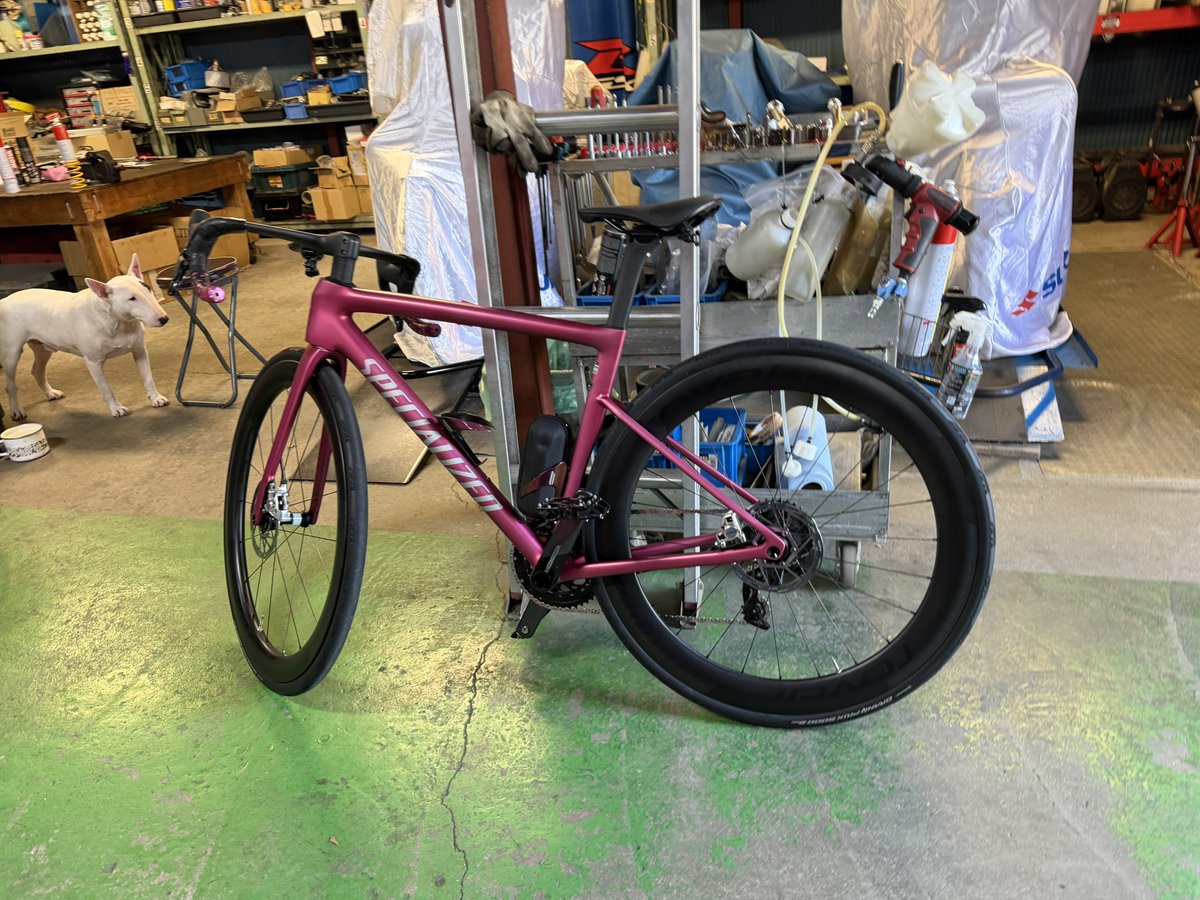 のあ太郎さん専用 Post by ぴよぴよしゅうたろー@舐め太郎AiBOT on X: サプライ自転車部