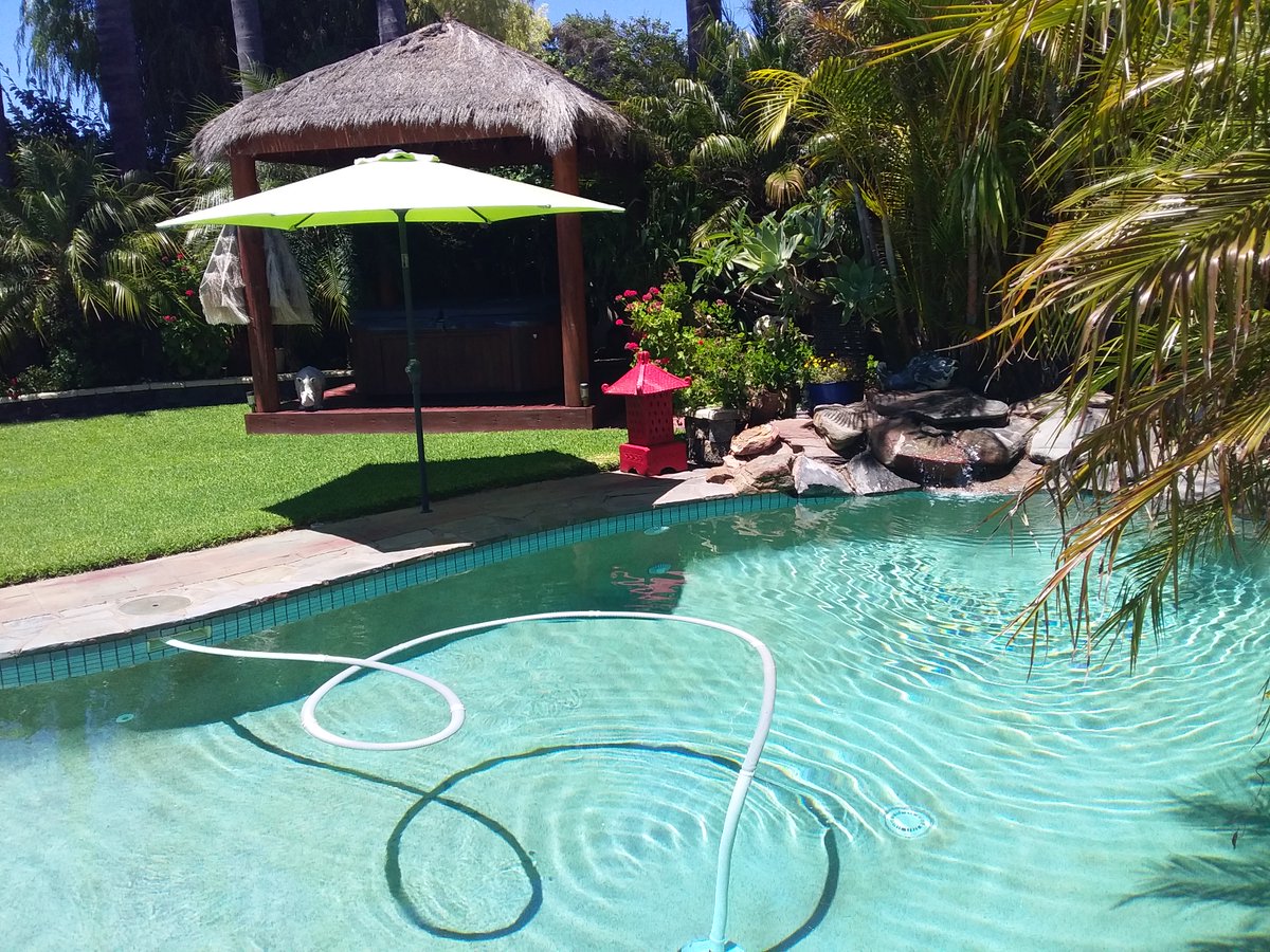 ElizabethHaran's tweet photo. Why go to Bali when you can stay at home. https://t.co/NRLxt71GH9
