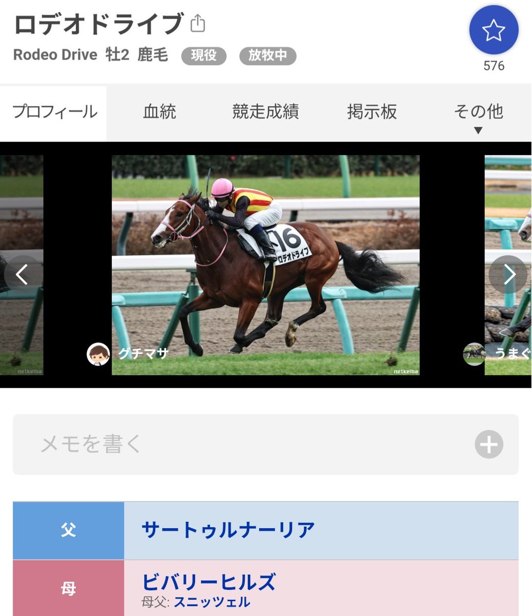 今年注目してる馬です