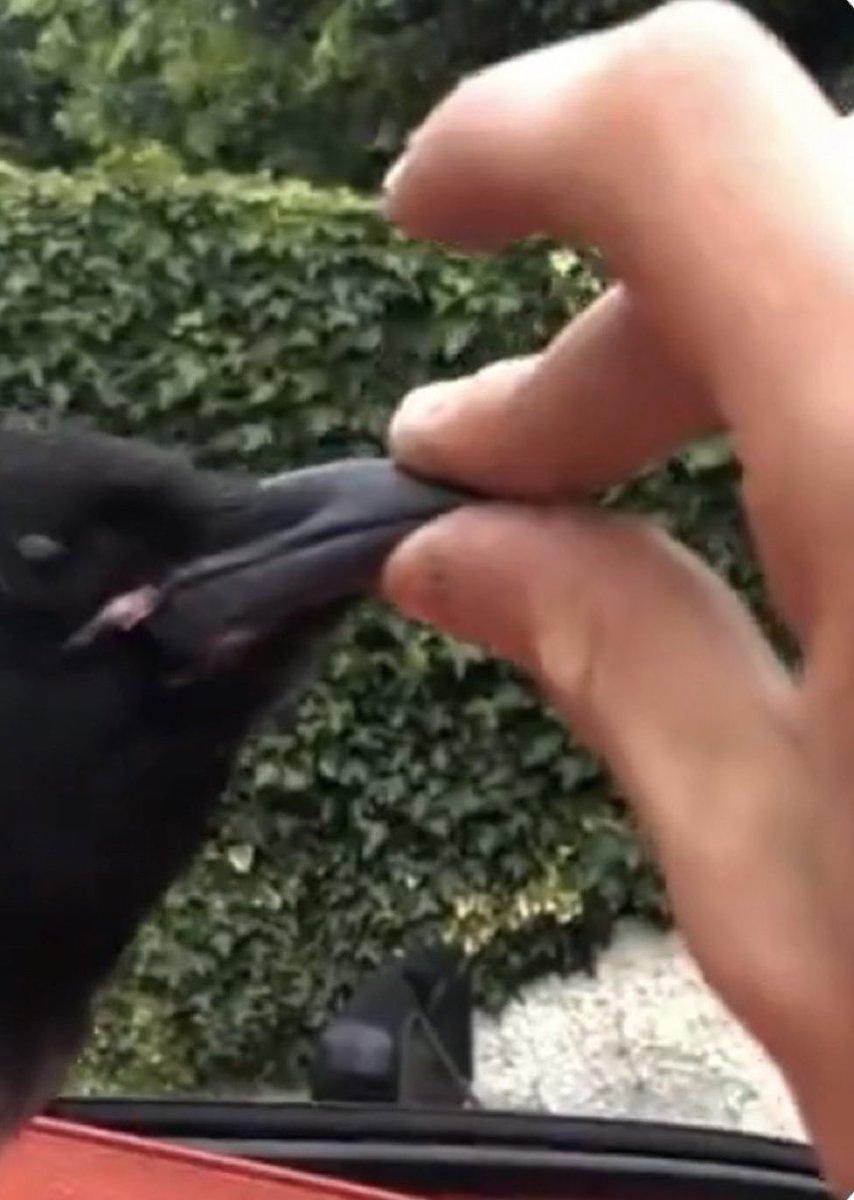 PortersBurgh's tweet image. Quiet.