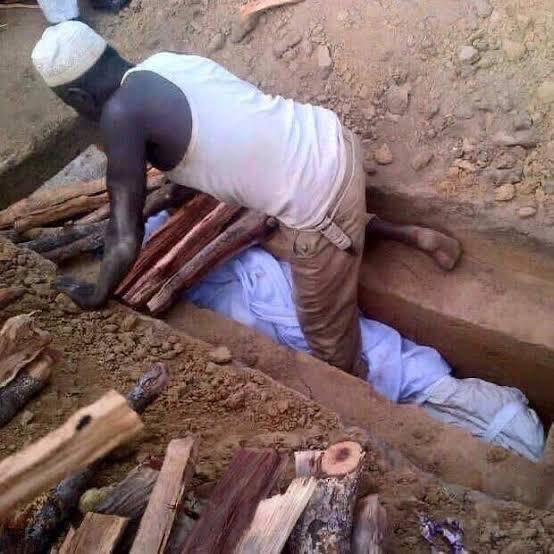 Haleema Abubakar🌹 tweet media