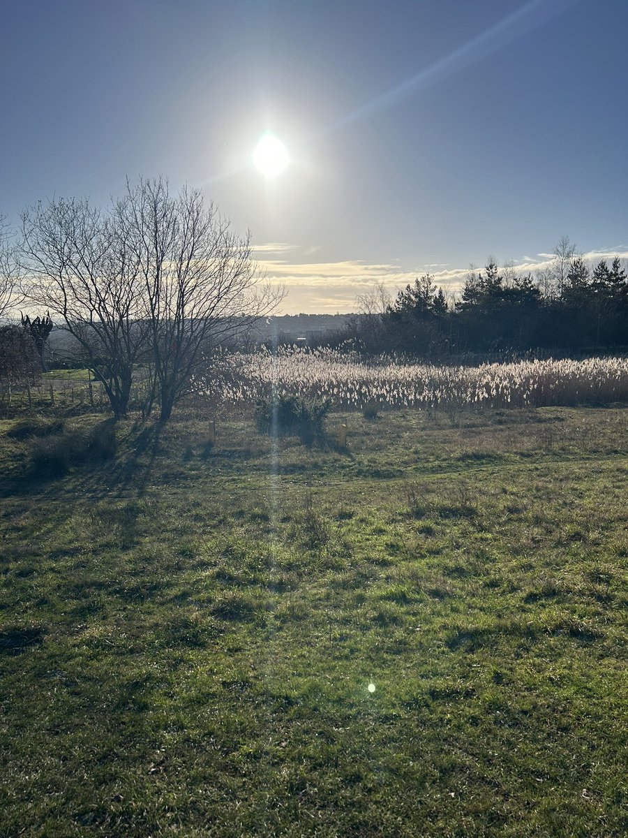 David77692706's tweet image. Happy new week everyone 🍀☕️