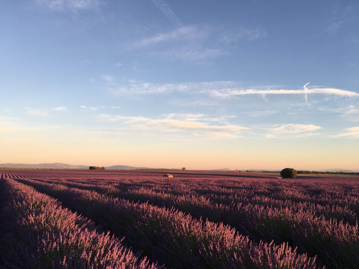 하이퍼리즘 tweet media