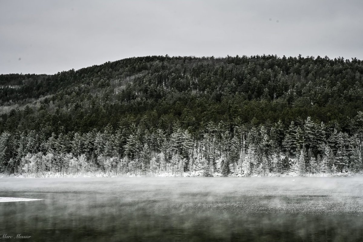 Marc Messier tweet media