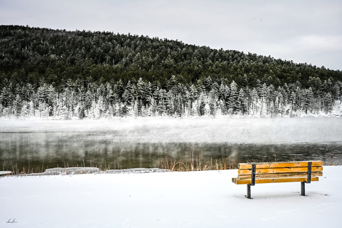 Marc Messier tweet media