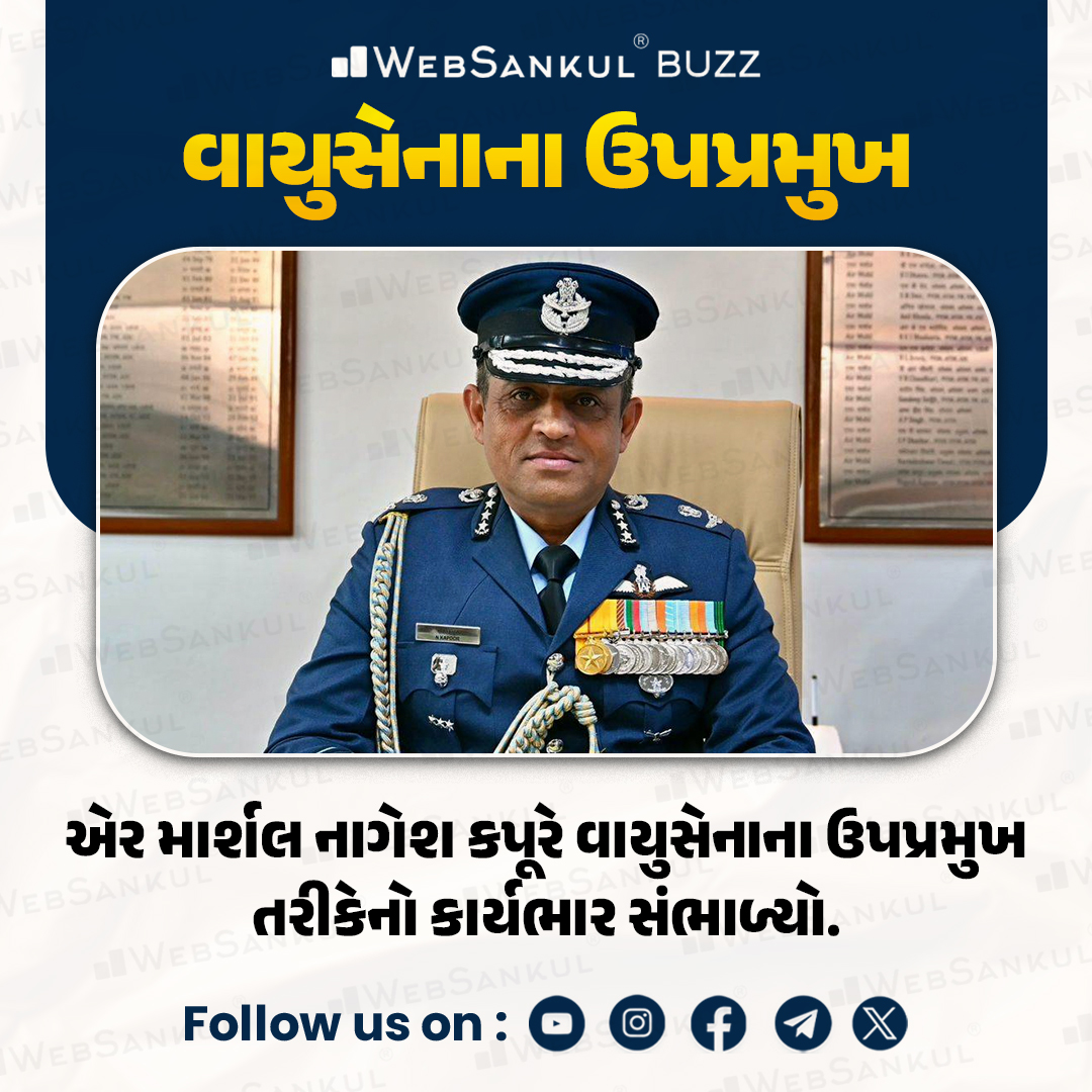 વાયુસેનાના ઉપપ્રમુખ