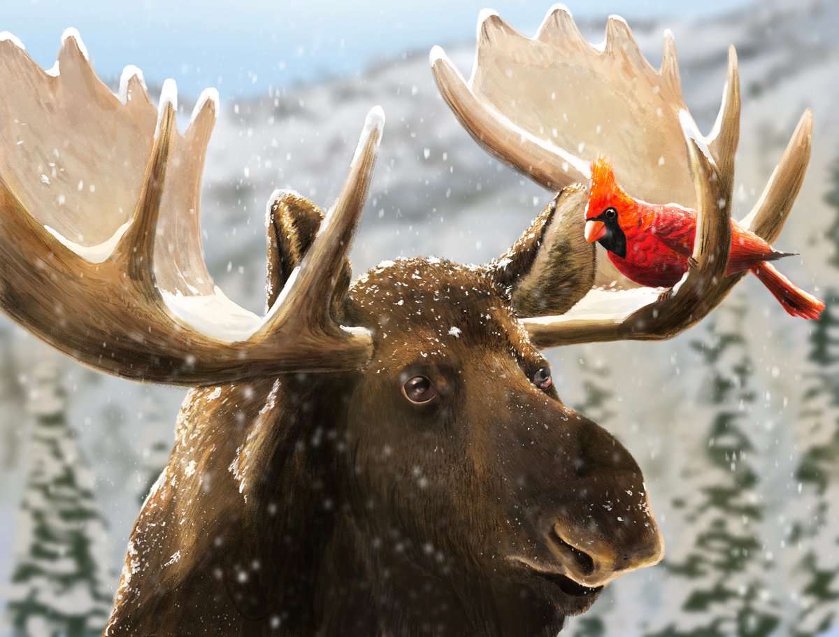 Will Conlon 🇨🇦 tweet media