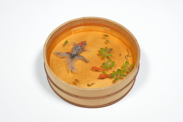 ／
#深堀隆介 作品展✨
『金魚絵思』Kingyo eshi
＼

#金魚 魅せられ創作を続ける美術作家・深堀隆介さんの個展を開催！『#金魚絵思』をタイトルにさらに創作への思いを込めた金魚作品をご覧ください🫧

➤hanshin-dept.jp/hshonten/shopn…

1月3日(土)→13日(火)
8階 #アートギャラリー
最終日は午後5時まで