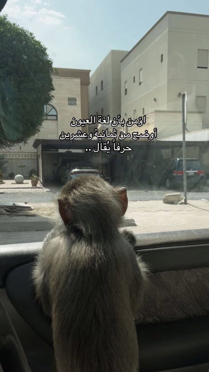 _ifheed's tweet image. .
    اؤمن بأن لغه العيون 
أوضح من ثمانية وعشرين 
          حرفاً يُقال ..