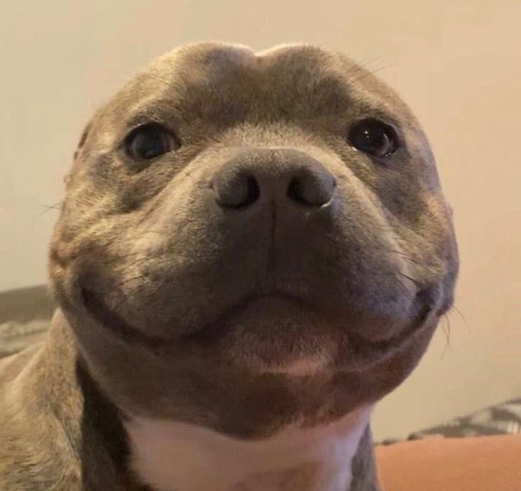 María Corina              |                 Edmundo  🐶