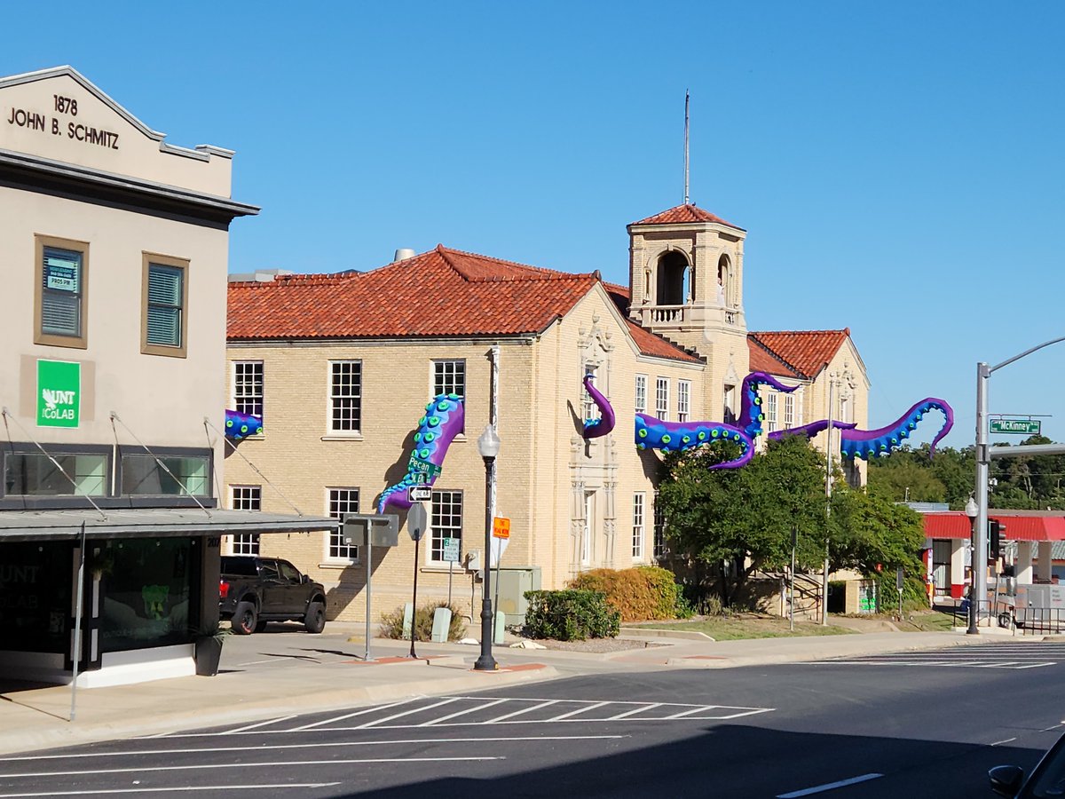 Texas Arts tweet media